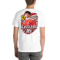 fc-revision:r13-docx-ferrari-contrast:2